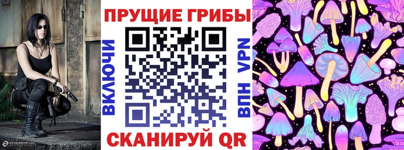 Купить  Избербаш  Галлюциногенные грибы Psilocybine cubensis 